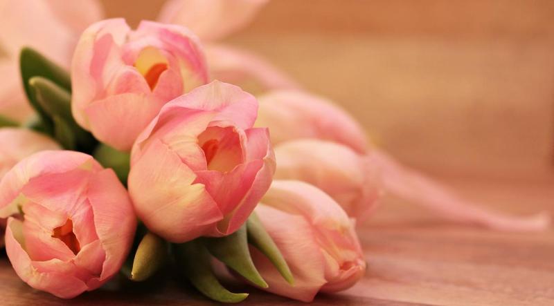 Obituary: Annie Cooley  brought compassion and kindness to many people