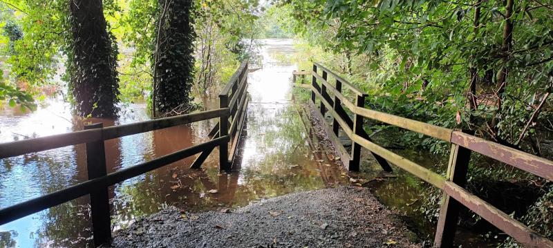 Flooding cuts off part of popular forest walk