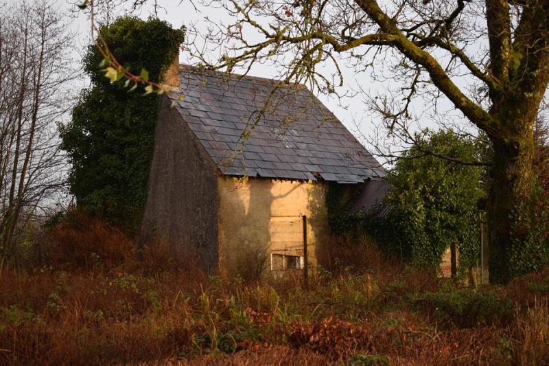 derelict house SMCNAMARA