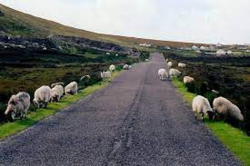 Busy North-West Donegal road will be closed on Wednesday and Thursday
