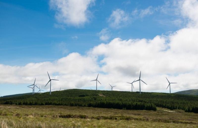 Proposed community exhibition on wind farm proposal is cancelled 