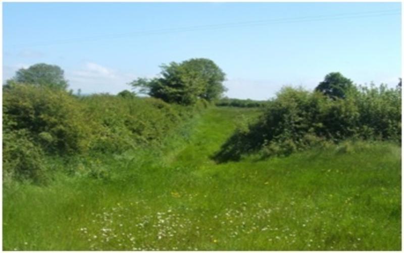 Teagasc: Help nature thrive on your farm alongside food production 