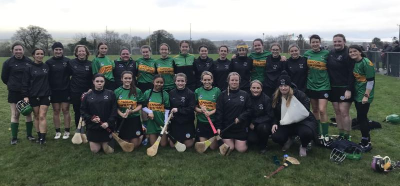 Markievicz camogs just come up short against Ballerin 