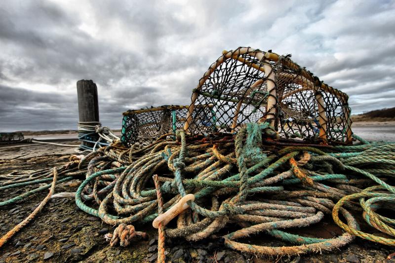 Thieves cooked stolen lobster on Donegal beach