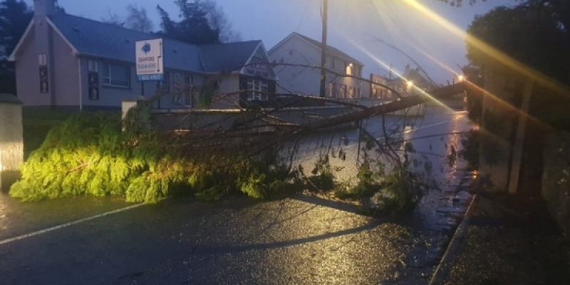 Fallen trees, flooded roads as Donegal feels brunt of weather