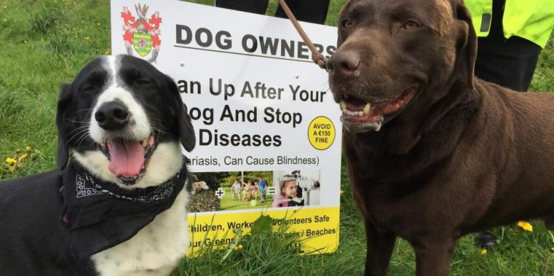 Council launches crackdown on dog fouling in Killybegs after complaints