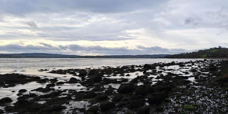 Weather forecast: A cold start will lead to sunny spells later