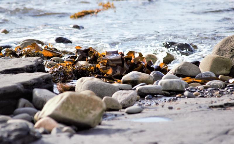 Photo competition invites you to show off your favourite corner of Donegal 
