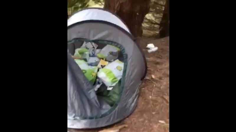 Watch: Camping gear, rubbish bags and broken glass left in 'No Camping' area
