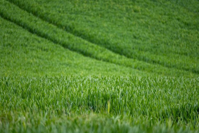 Landowners were not directly informed that they have to pay new tax