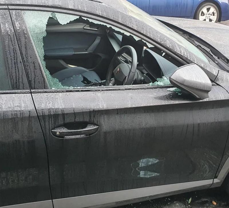 Would-be thieves stopped in their tracks after breaking into immobilised car  