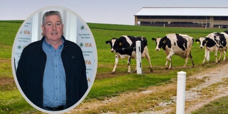 'Fear and uncertainty' among Donegal dairy farmers over cow cull 