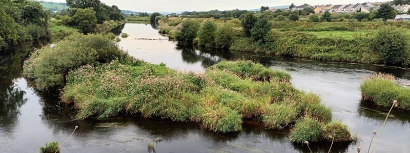 Councillor asks who is responsible for vegetation blocking River Finn at Clady?
