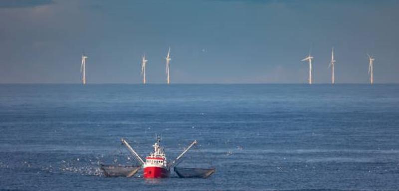 Donegal fishing chief expresses concern over locations of future  offshore wind farms