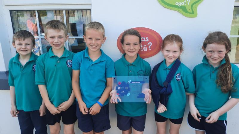 Twenty Donegal win Science Foundation Ireland’s Curious Minds Awards 