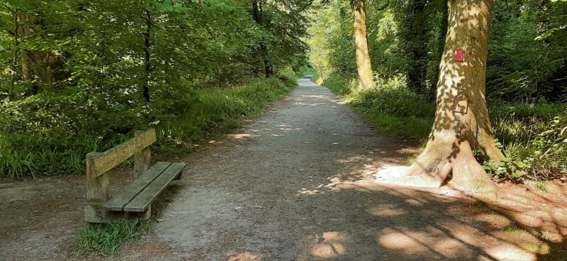 Work to start to enhance biodiversity in  Drumboe, Creggan and Monellan forests