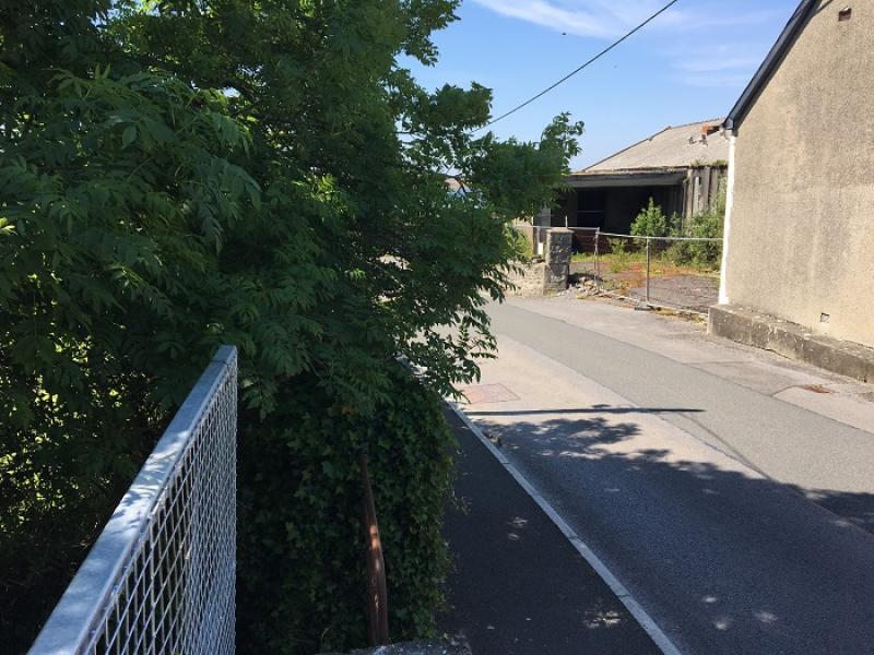 No easy solution to grass verge problems on Donegal minor roads, Municipal District told 