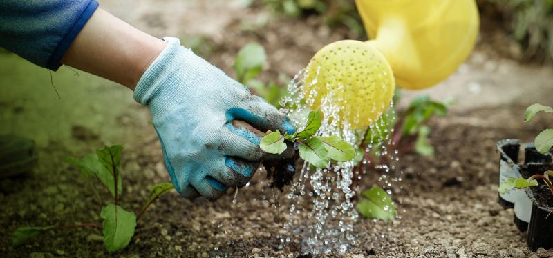 Uisce Éireann urges customers in Leitirmacaward to conserve water