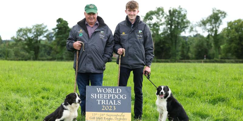 Ballybofey man and grandson to compete at World Sheepdog Trials