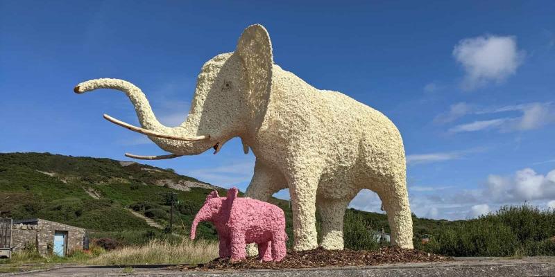 You won't miss this elephant in the room at Fort Dunree