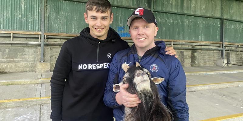 No kidding - Skerries Town want to get Finn Harps' goat up