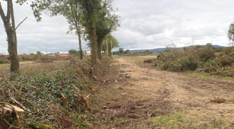 Gardaí called to deal with hedge cutting during the close season