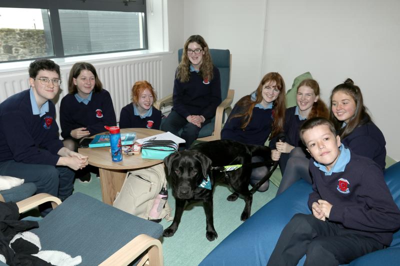 Glenties school leads the way in inclusiveness - with a helping paw from Oreo