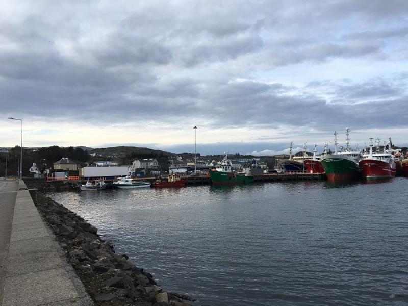 ‘Get to the bottom of Killybegs stink problem’ Cllr appeals