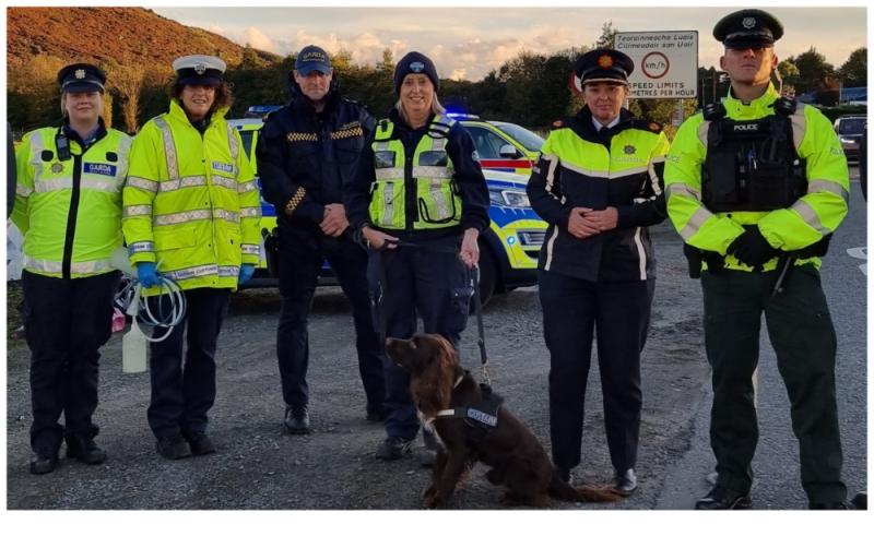 National: Assassination attempts to dutiful detection dogs - Garda report marks 100 years of keeping people safe