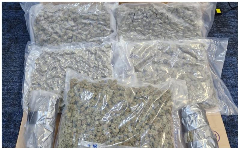 National: Man arrested after gardaí conduct cannabis bust valued at €120k
