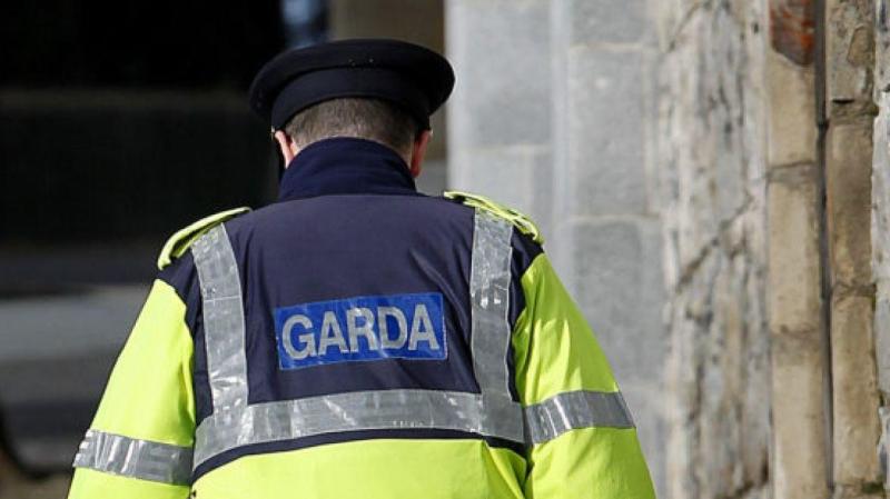 Gardaí appeal after woman is struck by car and driver fled the scene