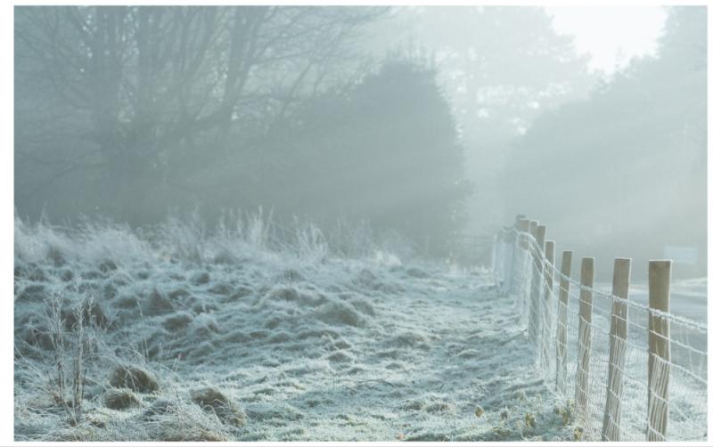 National: Met Éireann says animal welfare at risk as cold weather warning issued