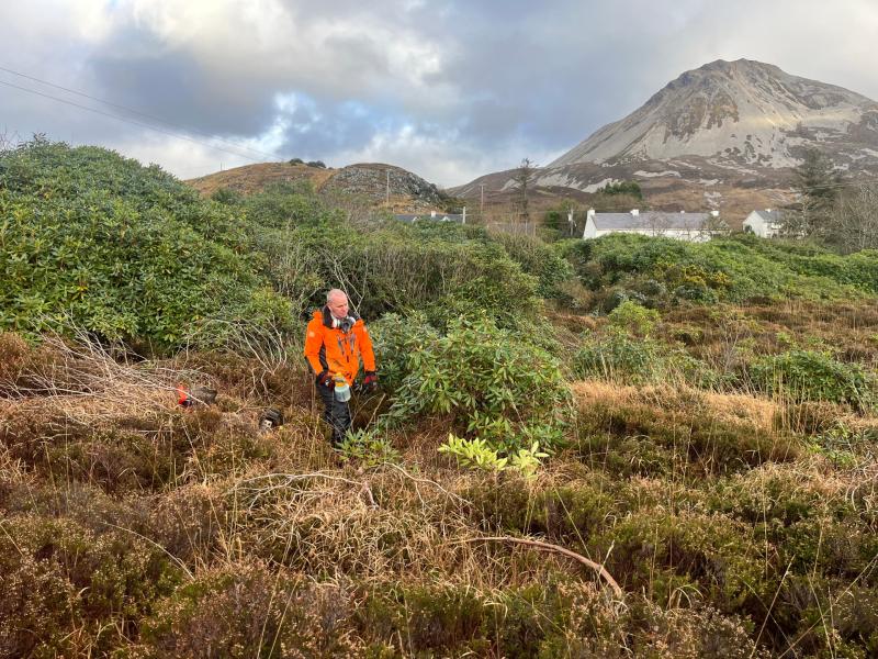 Dunlewey pilot scheme could benefit communities across the county 