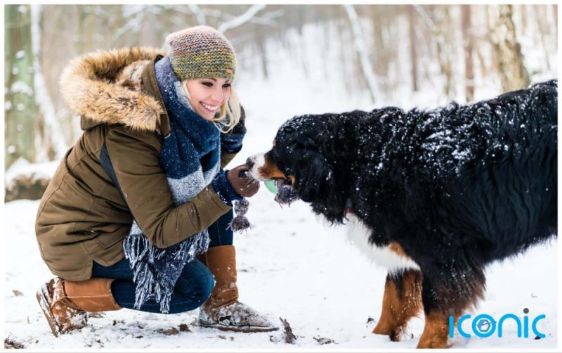 National: EXPLAINER: How to protect your dog on cold winter walks 