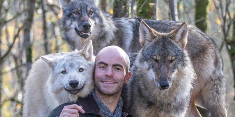 Wild Ireland animals 'inside, safe and warm' after Storm Isha