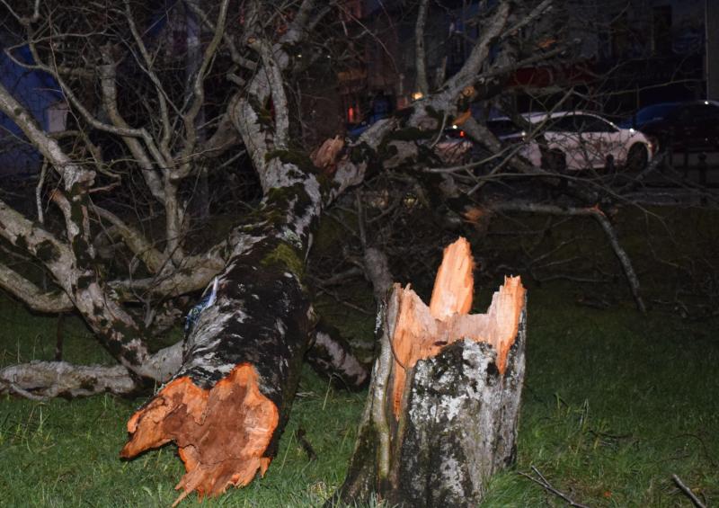 Live Updates: Storm Isha aftermath - Monday closures of roads, schools etc