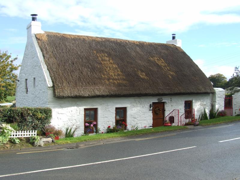 Concern over people replacing historic thatch with slate in Donegal
