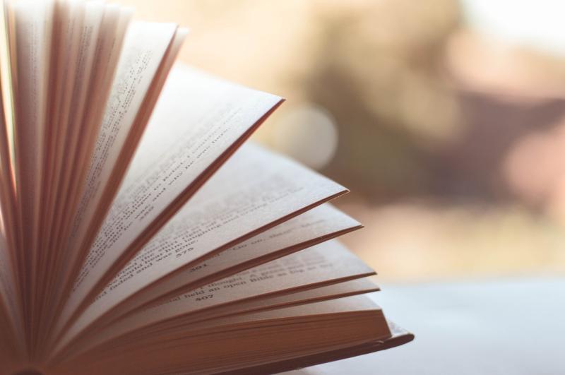 Two novels by Irish authors shortlisted for the 2024 Dublin Literacy award