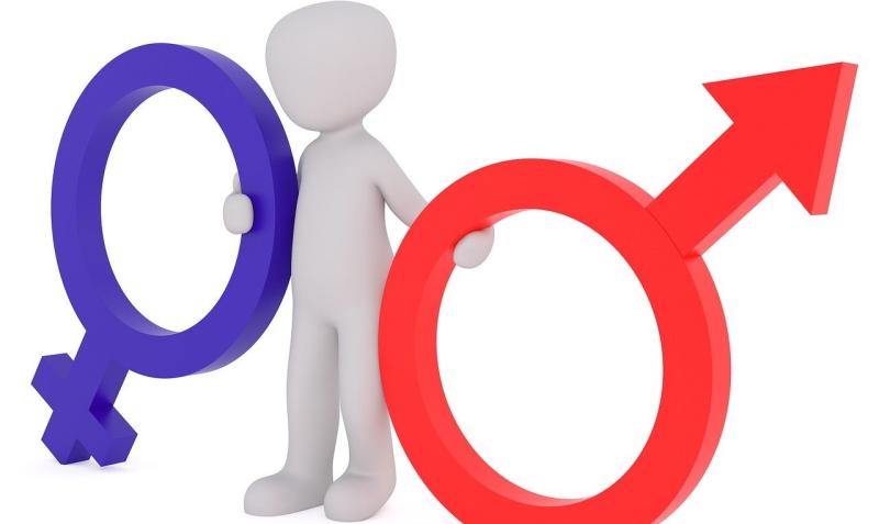 Column:  Are gender quotas a good idea or do they create discrimination?