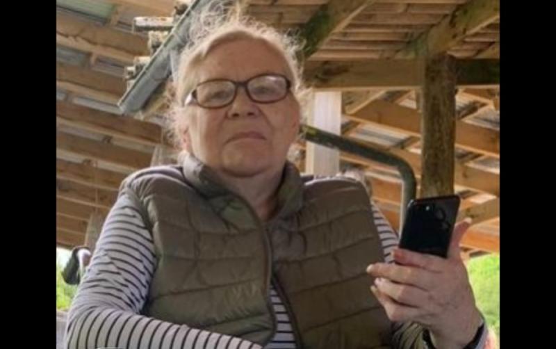 National: Garda search for missing 65-year-old woman concludes