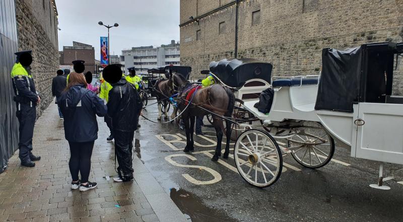 National: Gardaí arrest two operators of horse-drawn carriages for 'intoxicated driving'