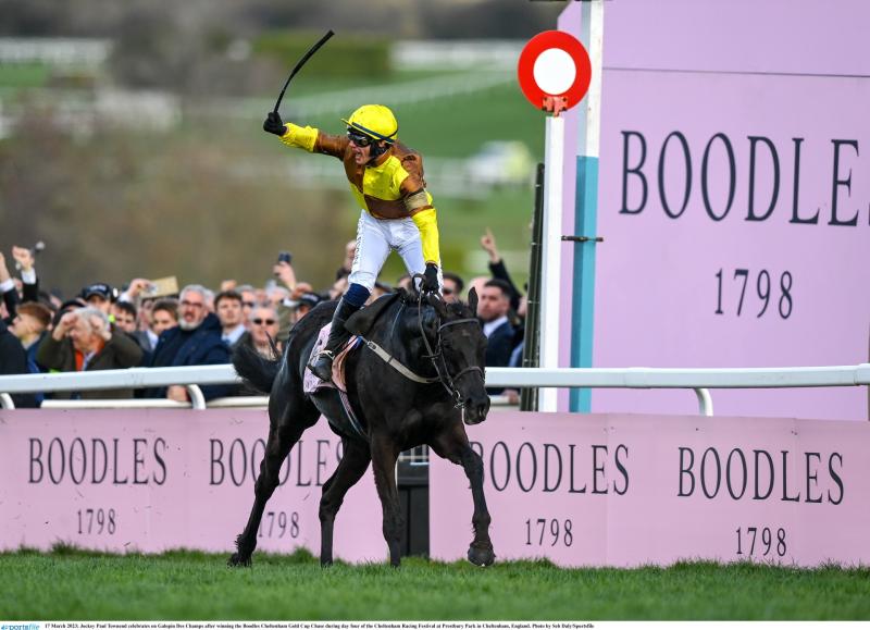 Cheltenham Gold Cup Day tips with Willie Mullins expected to have big day