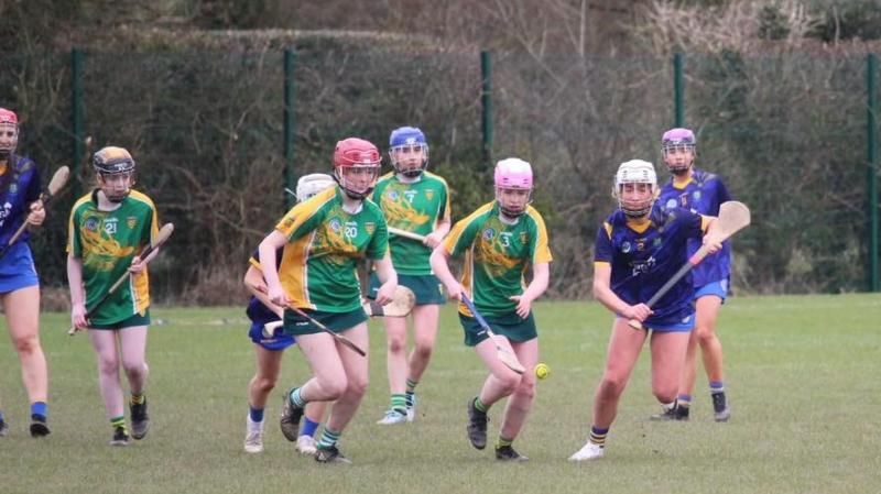 Donegal minor ladies camogie side defeated by Wicklow in Convoy 