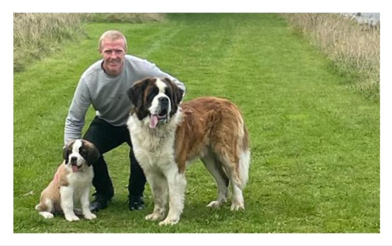 Hurling legend Henry Shefflin reunited with beloved dogs following