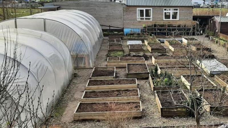 Male with ‘sharp object’ causes damage to Twin Towns Garden 