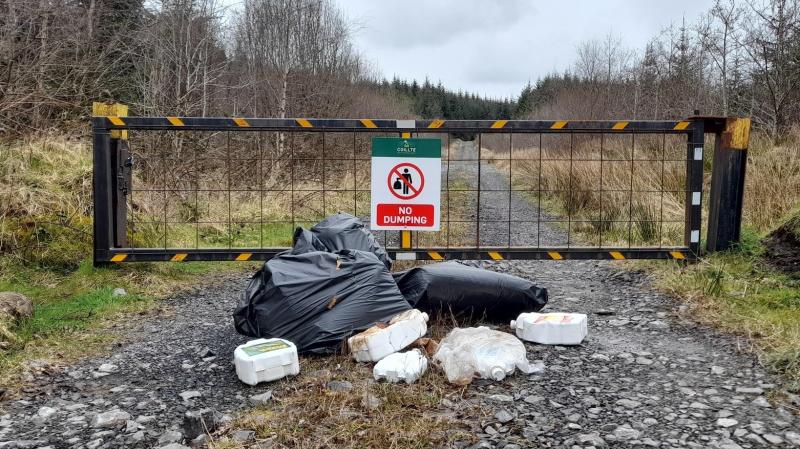 Donegal County Council hits out at illegal dumping at Lough Derg