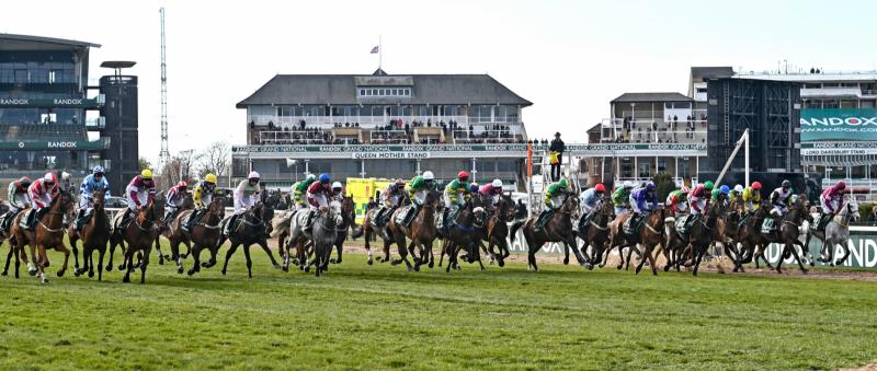 Letterkenny Live Grand National Sweepstakes 2 - the runners and riders