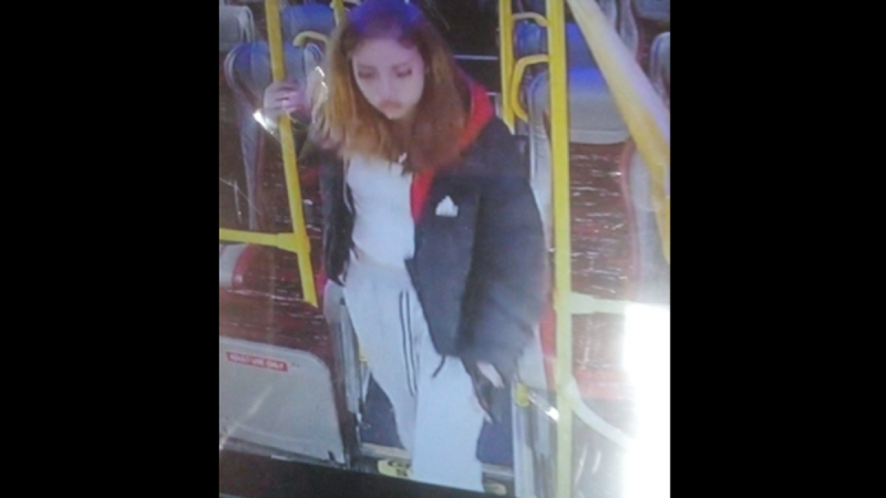 Gardaí renew appeal to find teenage girl amid concern for her welfare