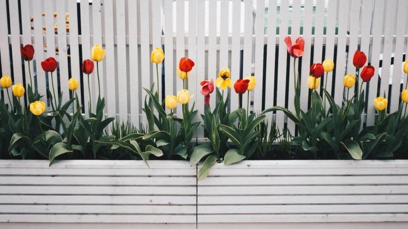 Two ‘intoxicated’ males damage flower beds