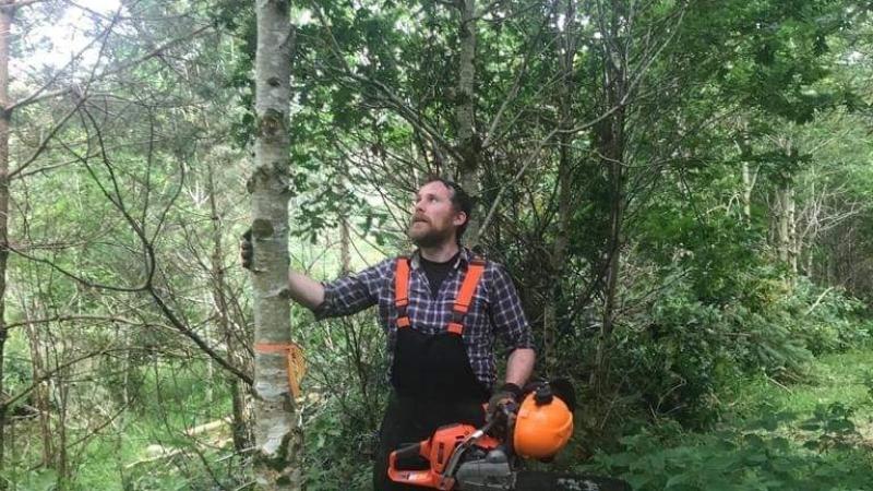 Donegal forestry and compost producers shortlisted for RDS Awards